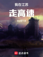 我在江苏走高速在线阅读