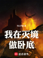 我在灭境做卧底封面