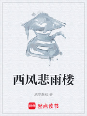 西风悲雨楼在线阅读