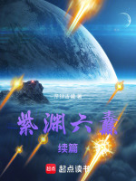 紫渊六纛之斗战六合封面