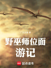 野巫师位面游记在线阅读