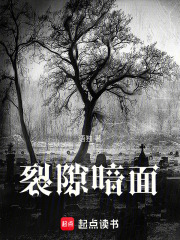 裂隙暗面在线阅读