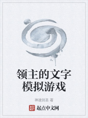 领主的文字模拟游戏