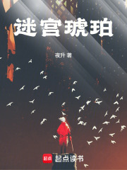 迷宫琥珀在线阅读