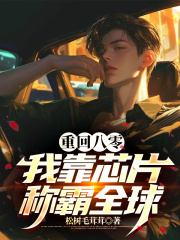 重回八零，我靠芯片称霸全球