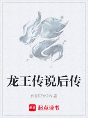 龙王传说后传