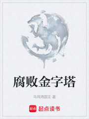 腐败金字塔在线阅读