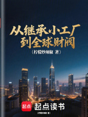 从继承小工厂到全球财阀在线阅读
