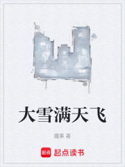 大雪满天飞在线阅读
