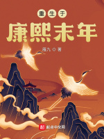 重生于康熙末年在线阅读