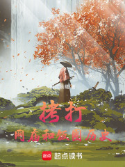 拷打网庙和饭圈历史在线阅读