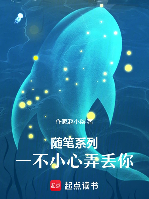 随笔系列之一不小心弄丢你