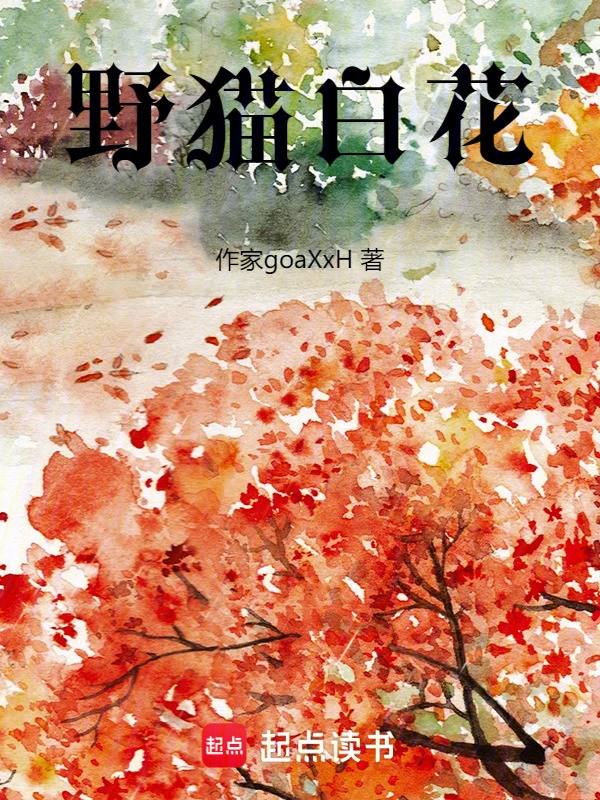 野猫白花