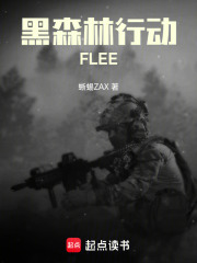 黑森林行动FLEE