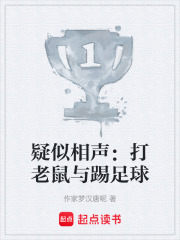 疑似相声：打老鼠与踢足球在线阅读