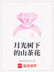 月光树下的山茶花