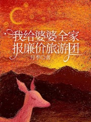 我给婆婆全家报廉价旅游团