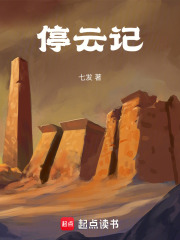 停云记在线阅读