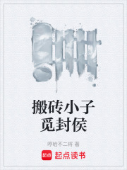 搬砖小子觅封侯在线阅读