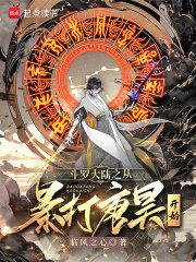 斗罗大陆之从暴打唐昊开始