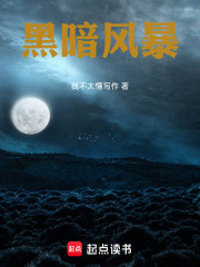黑暗风暴在线阅读