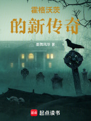 霍格沃茨的新传奇在线阅读