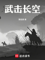 武击长空