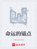 命运的锚点在线阅读
