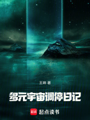 多元宇宙调停日记
