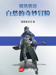 磁场转动：白愁的奇妙冒险