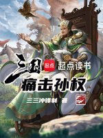 三国：痛击孙权封面