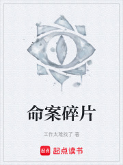 命案碎片在线阅读