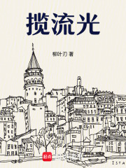 揽流光