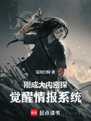 刚成大内密探，觉醒情报系统