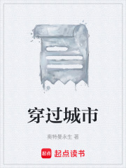 穿过城市在线阅读
