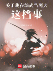 关于我在综武当鹰犬这档事