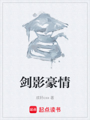 剑影豪情在线阅读