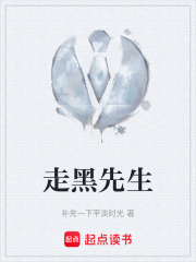 走黑先生在线阅读