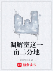 调解室这一亩二分地