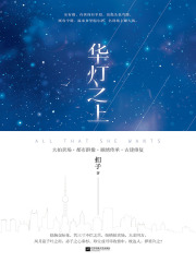 华灯之上（全二册）