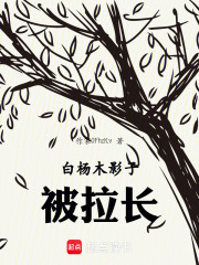 白杨木影子被拉长