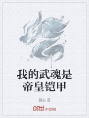 我的武魂是帝皇铠甲