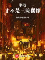 半岛：才不是三流偶像封面