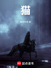 猫！在线阅读