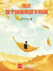 精灵：这个训练家过于阴间