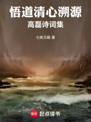 悟道清心溯源高磊诗词集在线阅读