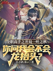 全职高手之开局一叶之秋！