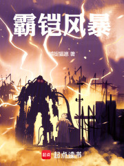 霸铠风暴在线阅读