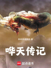 哗天传记在线阅读