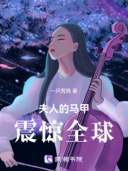 夫人的马甲震惊全球在线阅读
